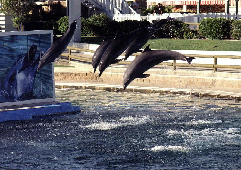 Sea World 2001 Sea World, Queensland